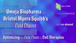 23_10_CGL_ColdChain_Webinar_Seg01