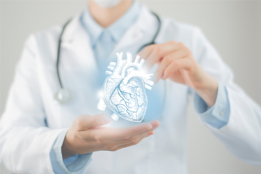 GettyImages-1339093358-cold-froze-cryopreservation-cryogenic-heart