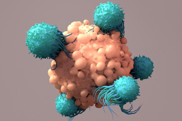 GettyImages-1317697233-cancer-t-cells