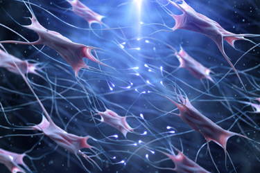 3d-cells-connections-GettyImages-1029744690