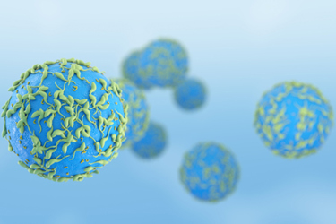 Lymphocyte-T cell B cell-GettyImages-1277599224