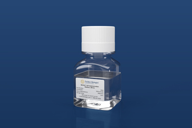 Nucleus Biologics - NB-KUL-10-Cryopreservation-Media