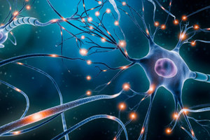 GettyIMages-1216658919 neurology