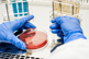 GettyImages-1269173310 cell culture