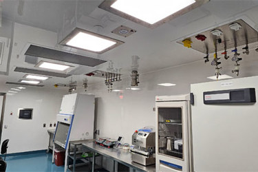 Kincell Bio Streamlined Cell Therapy Development