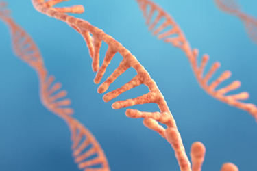 GettyImages-1357908552