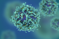 T Cell GettyImages-538032878