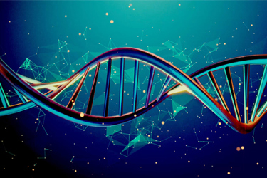 GettyImages-1349793348 DNA