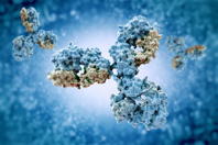 Antibodies GettyImages-512051390