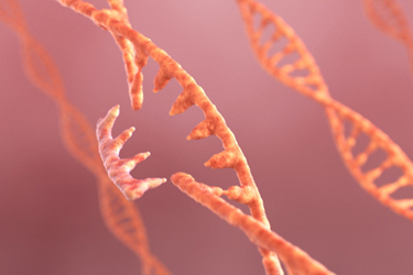 DNA RNA editing-GettyImages-1398567874