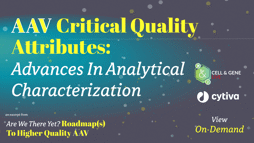 23_11_CGL_AAV_Webinar_Seg02