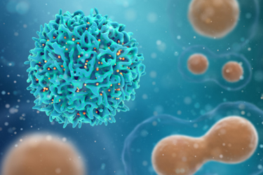 T cells cancer cells