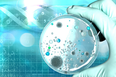 Microbiology laboratory test=GettyImages-849269856