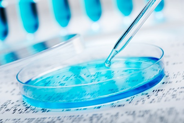 bioprocess petri dish pipetting cell cutlutre 450x300