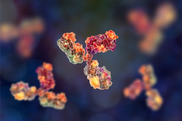 GettyImages-1133973085-monoclonal-antibody