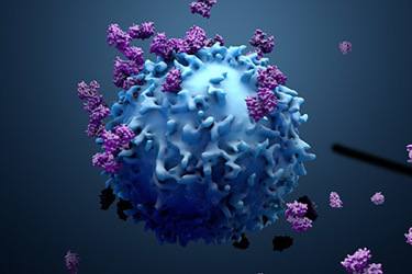 proteins with lymphocytes , t cells or cancer cells GettyImages-1138937146