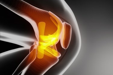 Knee Anatomy Image