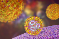 Lipid nanoparticle mRNA vaccine-GettyImages-1418152448