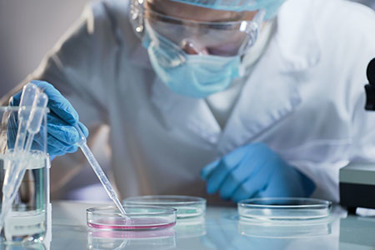 Cell research GettyImages-879831370