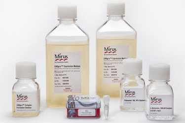 CHOgro Expression System