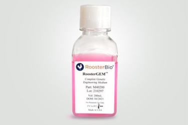 Genetic Engineering Tools