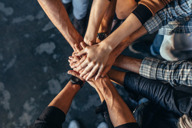 All Hands In All Hands In