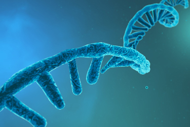 GettyImages-1269045566-rna