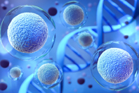 GettyImages-1335033345-cell-gene