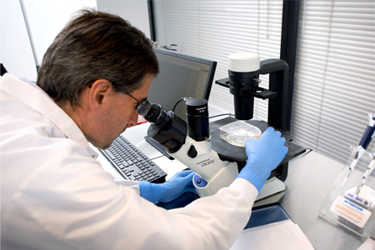 hMSC & EV Analytical Services