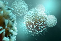 T cells GettyImages-956478348