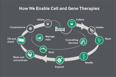 How we enable cell and gene therapies How we enable cell and gene therapies