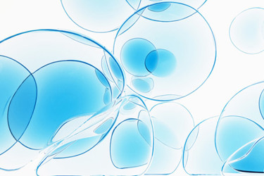 Transparent cells-GettyImages-1471316615