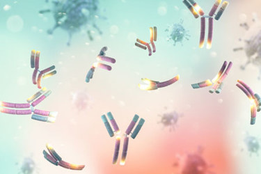 GettyImages-1302640919-antibody