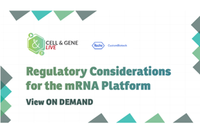 Cell - Reg24_09_cgl_1280x720_seg02