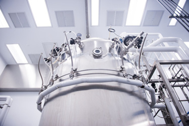Pharmaceutical bioreactor-GettyImages-836094936