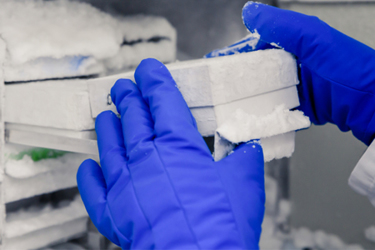 iStock-1213895723-cold chain-packaging-logistics-storage