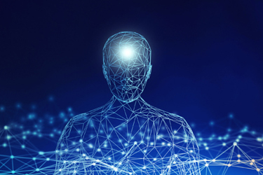 Wireframe Model Human GettyImages-951223744 Wireframe Model Human GettyImages-951223744