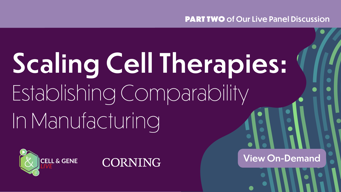 23_02_CGL_SCT2_Webinar_1920x1080_OD