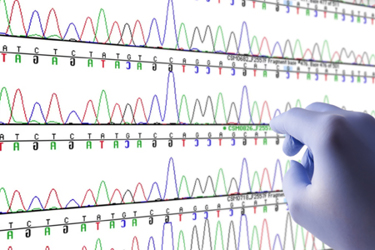 Biology and research GettyImages-1034743072