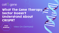 20_11_CG_CRISPRStemCellResearch_13_1920x1080