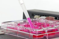 GettyImages-1595648709-pipette-laboratory-assay-cell-culture