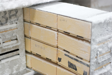 iStock-139660863-shipping-cold chain-cryogenic-temperature iStock-139660863-shipping-cold chain-cryogenic-temperature