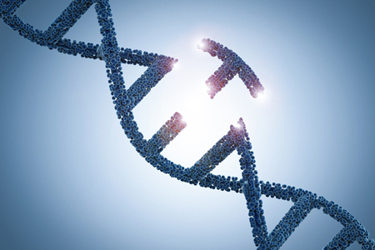 GettyImages-958260280-genetic-engineering-genome-editing-helix-dna