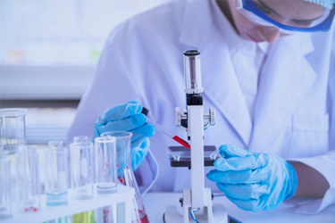 iStock-1214627273-development-lab