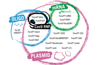Mirus Bio - whats in a product name
