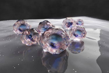 multiple Induced Pluripotent Stem Cells - iPSCs GettyImages-1368249640