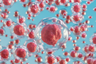 GettyImages-1435534172-mesenchymal-stem-cells