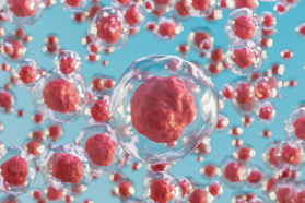 GettyImages-1435534172-mesenchymal-stem-cells