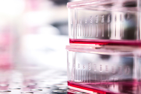 GettyImages-471427556 cell culture