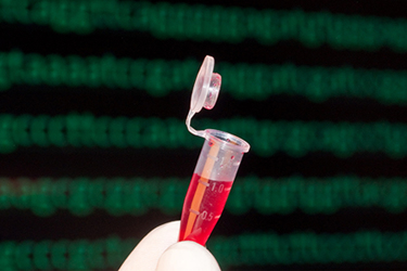 DNA testing of blood